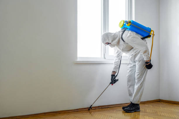 Best Commercial Pest Control  in Perry, KS